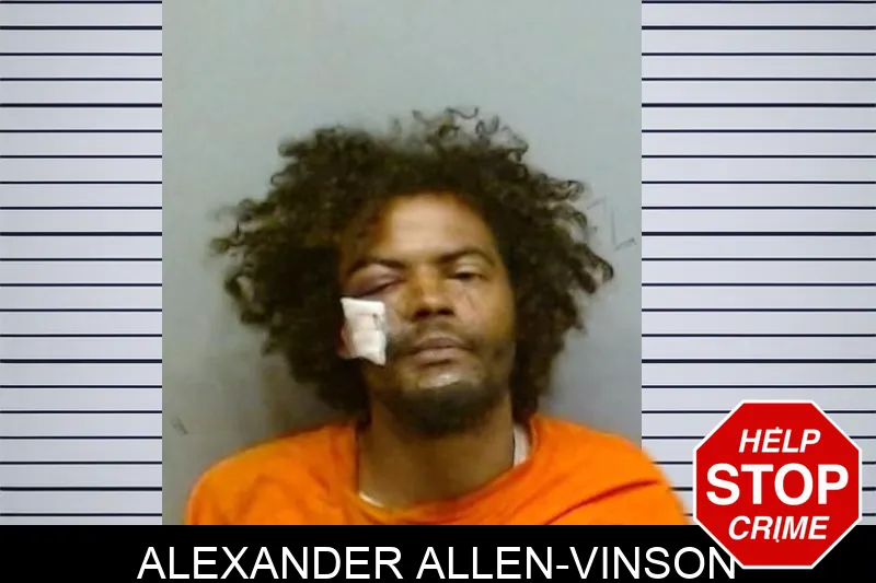 Alexander Allen-Vinson mugshot – Fulton County , Georgia Alexander Allen-Vinson mugshot