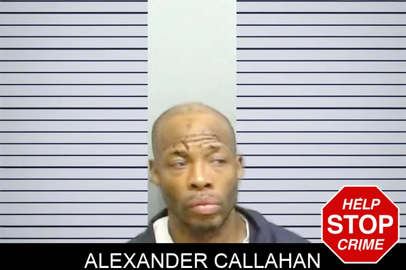 Alexander Callahan mugshot – Fulton County , Georgia Alexander Callahan mugshot