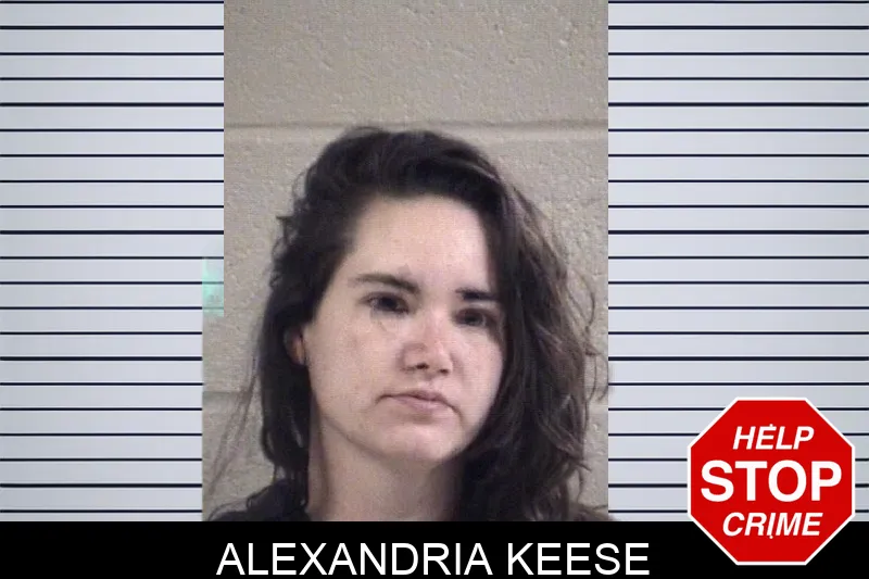 Alexandria Keese Mugshots