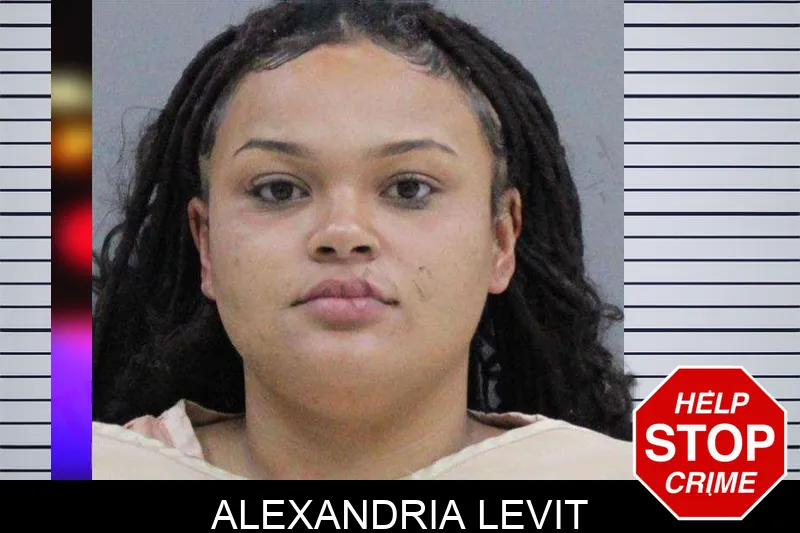 Alexandria Levit Mugshots