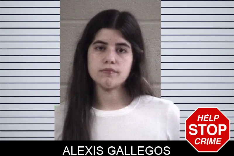 Alexis Gallegos Mugshots