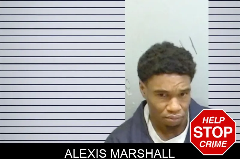 Alexis Marshall Mugshots
