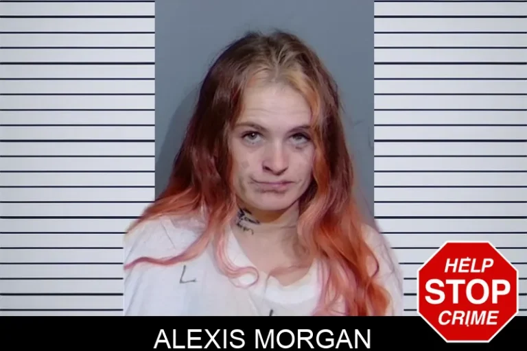 Alexis Morgan mugshot – Glynn County , Georgia Alexis Morgan