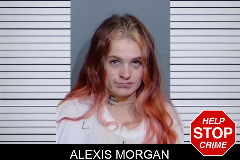 Alexis Morgan Mugshots