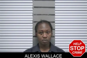 Alexis Wallace mugshot