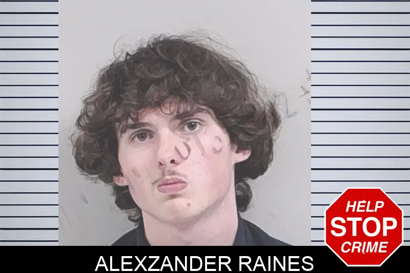 Alexzander Raines Mugshots