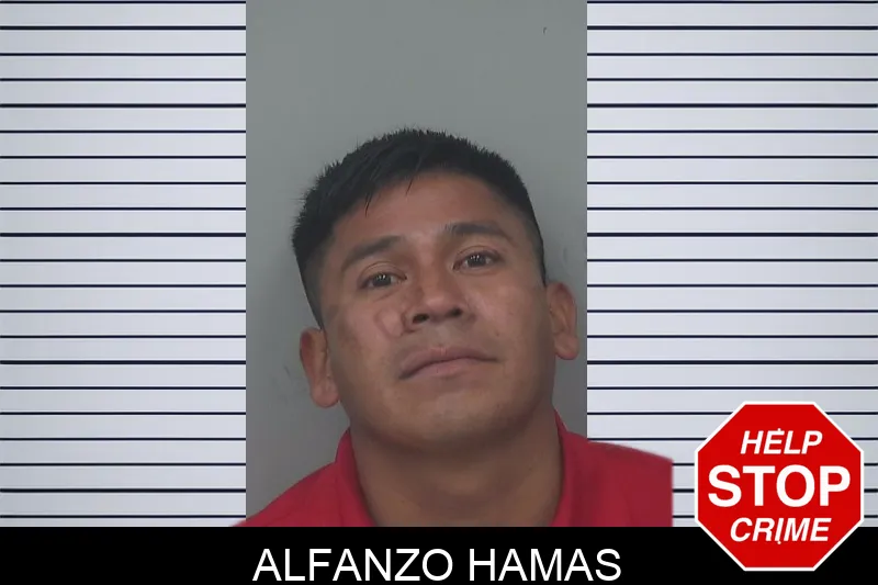 Alfanzo Hamas mugshot – Gwinnett County , Georgia Alfanzo Hamas mugshot