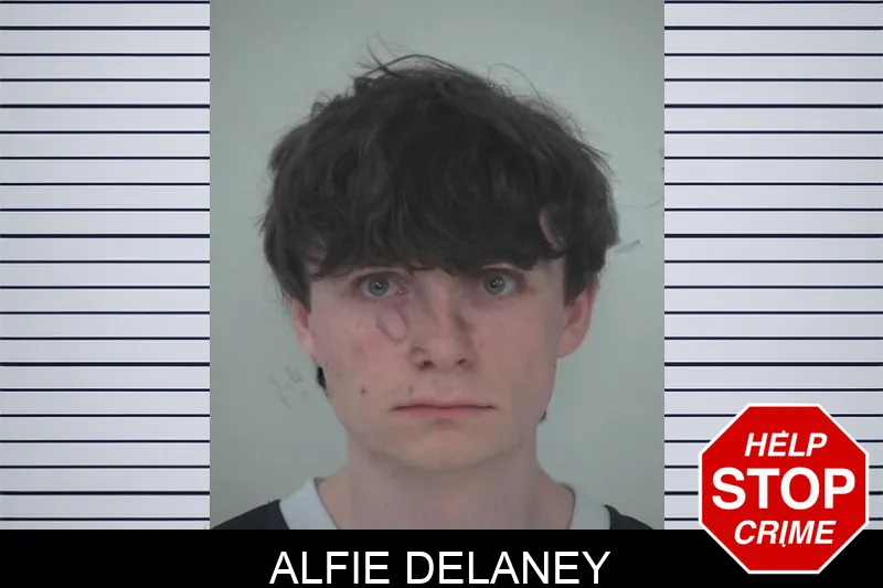 Alfie Delaney Mugshots
