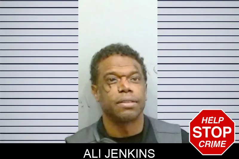 Ali Jenkins mugshot – Fulton County , Georgia Ali Jenkins mugshot