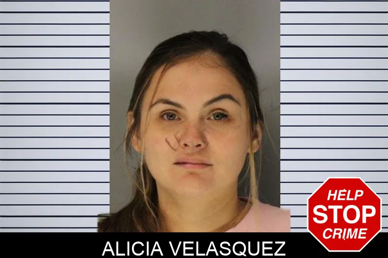 Alicia Velasquez Mugshots