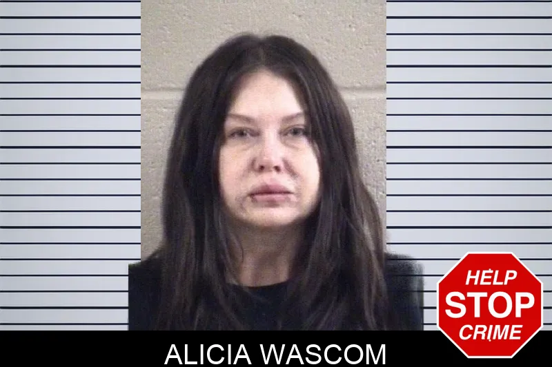 Alicia Wascom Mugshots