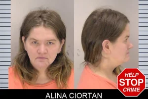 Alina Ciortan mugshot