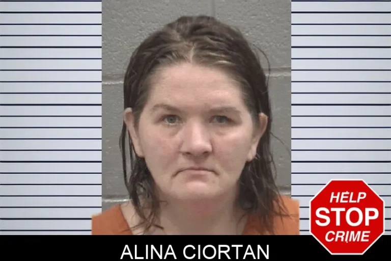 Alina Ciortan