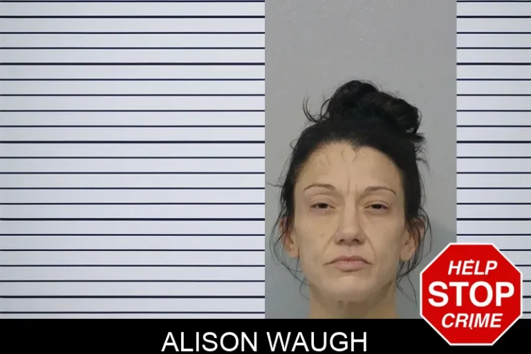 Alison Waugh mugshot – Bibb County , Georgia Alison Waugh