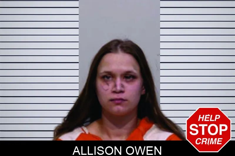 Allison Owen Mugshots