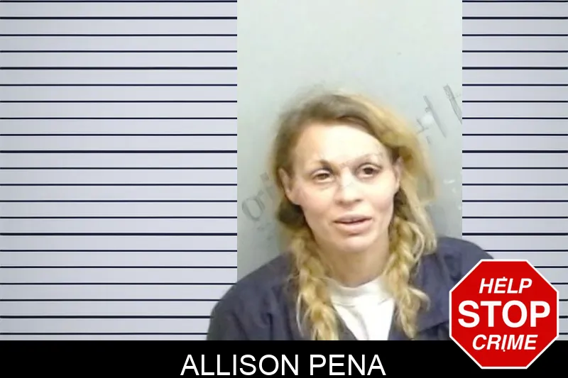 Allison Pena mugshot