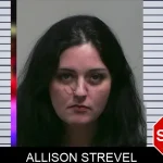 Allison Strevel Mugshots