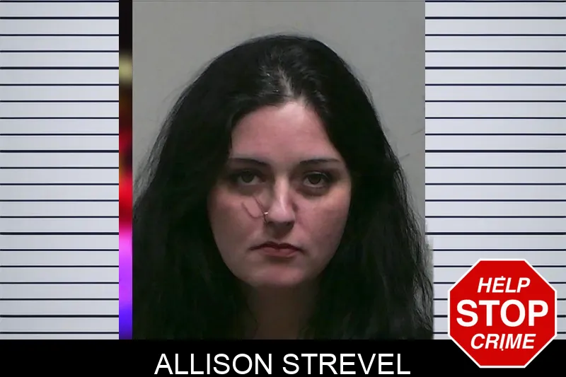 Allison Strevel Mugshots
