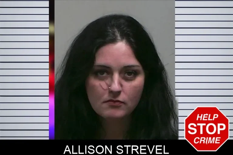 Allison Strevel mugshot – Tift County , Georgia Allison Strevel