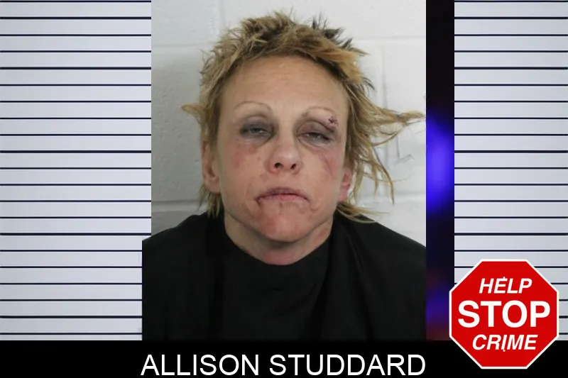 Allison Studdard Mugshots
