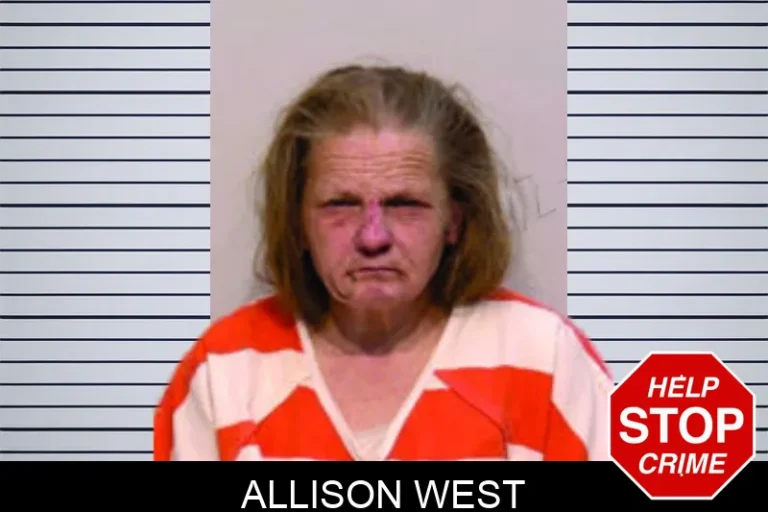 Allison West mugshot – Bartow County , Georgia Allison West
