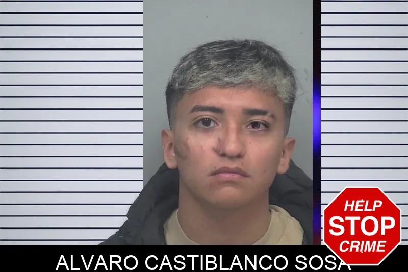 Alvaro Castiblanco Sosa mugshot