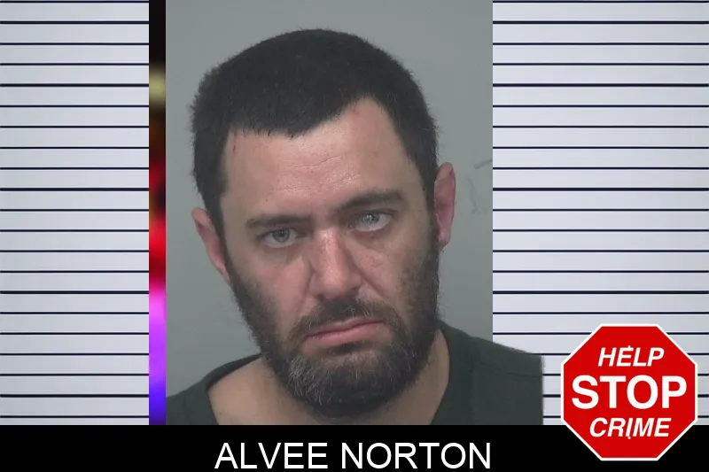 Alvee Norton mugshot – Gwinnett County , Georgia Alvee Norton mugshot