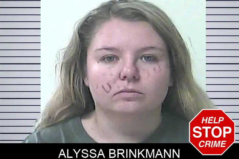 Alyssa Brinkmann Mugshots
