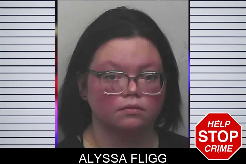 Alyssa Fligg Mugshots
