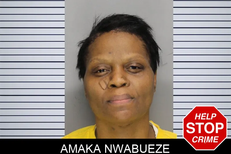 Amaka Nwabueze Mugshots
