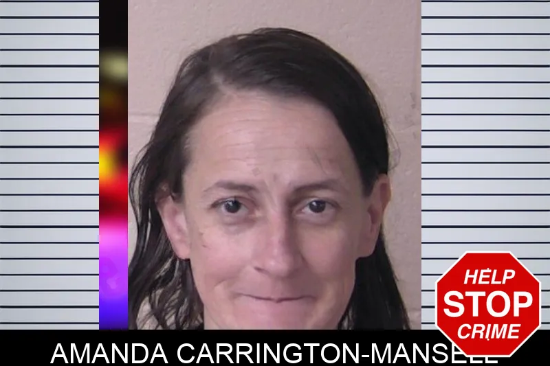 Amanda Carrington-Mansell Mugshots