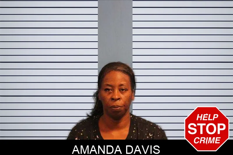 Amanda Davis Mugshots