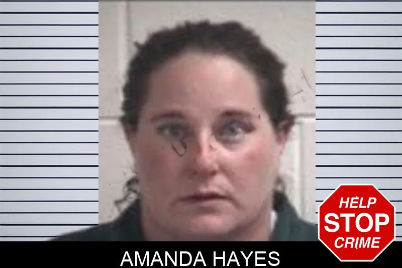 Amanda Hayes Mugshots