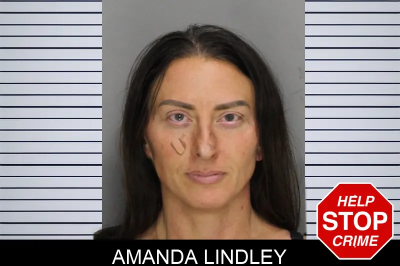 Amanda Lindley Mugshots