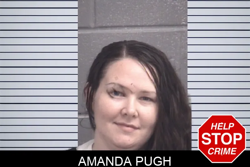 Amanda Pugh Mugshots