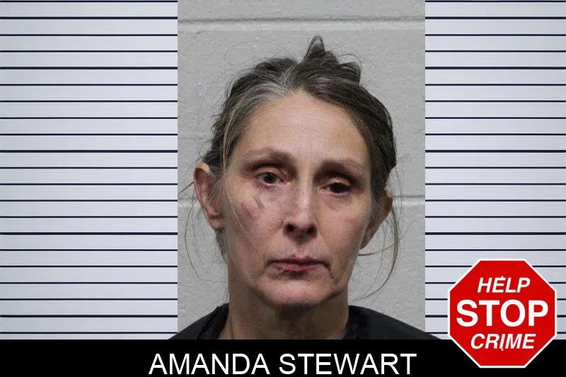 Amanda Stewart Mugshots