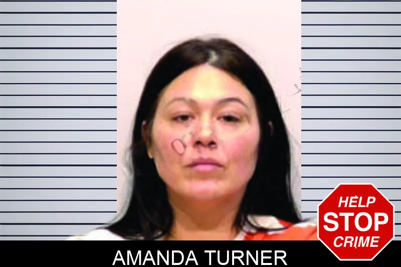 Amanda Turner Mugshots