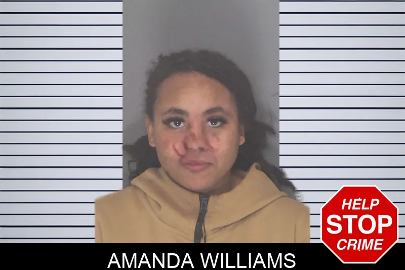 Amanda Williams mugshot – Douglas County , Georgia Amanda Williams mugshot