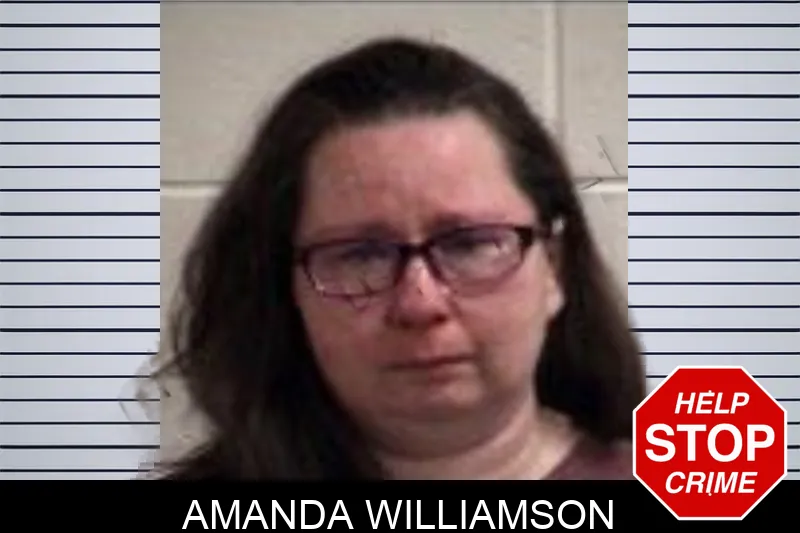 Amanda Williamson Mugshots