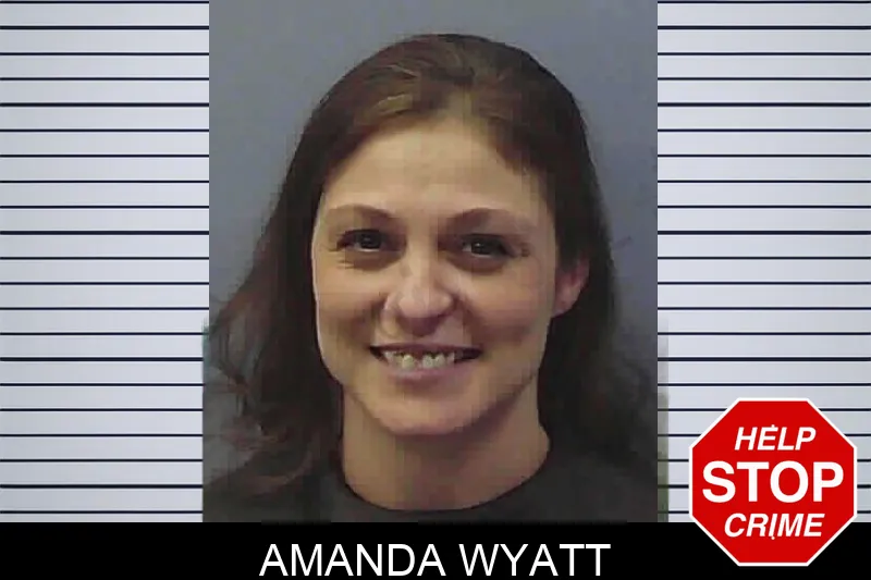 Amanda Wyatt Mugshots