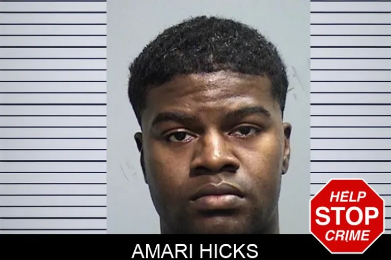 Amari Hicks mugshot – Effingham County , Georgia Amari Hicks