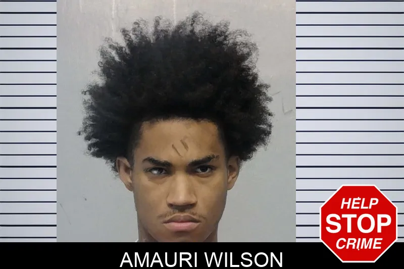 Amauri Wilson mugshot