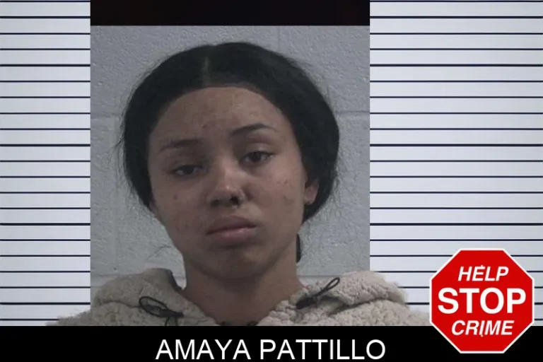 Amaya Pattillo mugshot – McDuffie County , Georgia Amaya Pattillo