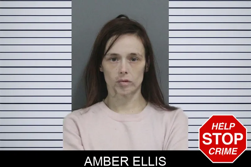 Amber Ellis Mugshots