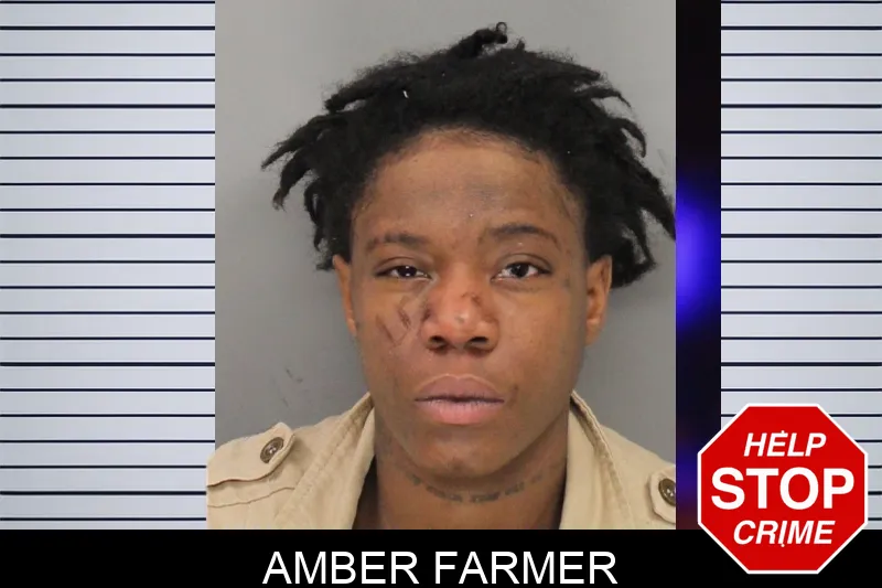 Amber Farmer Mugshots