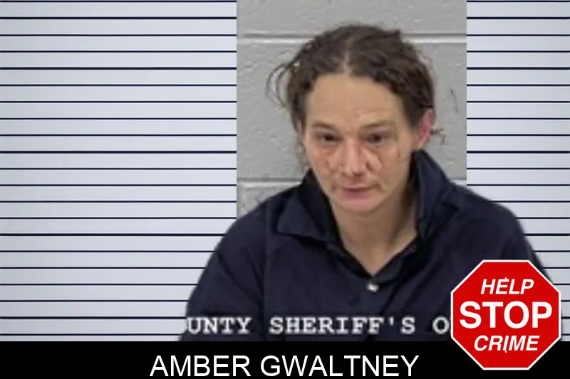 Amber Gwaltney Mugshots