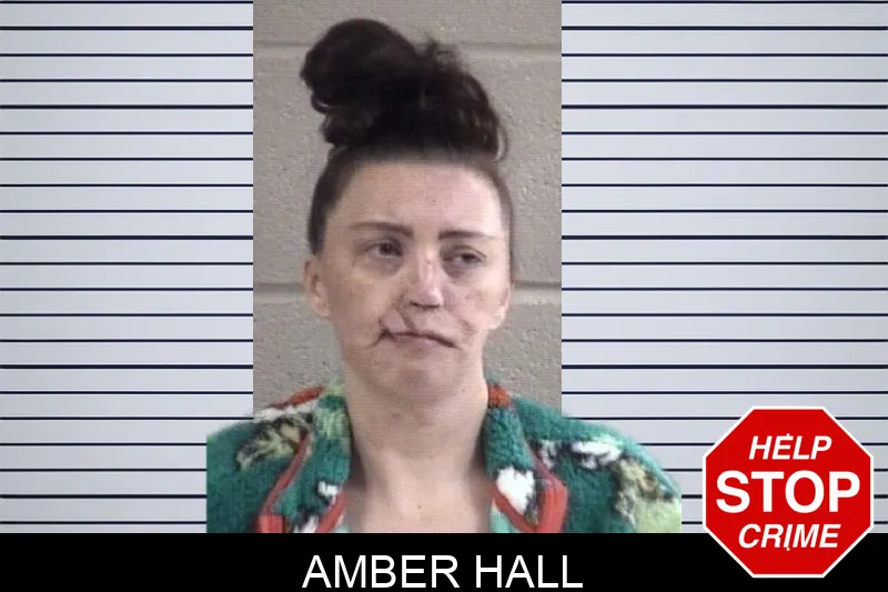 Amber Hall Mugshots