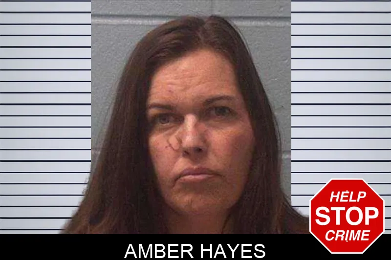 Amber Hayes Mugshots