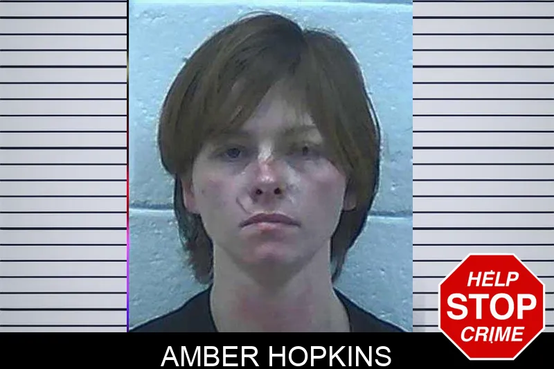Amber Hopkins Mugshots