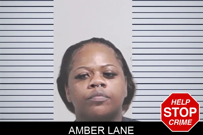 Amber Lane mugshot